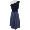 Abaete - Periwinkle & Navy Silk One Shoulder Dress Sz 6