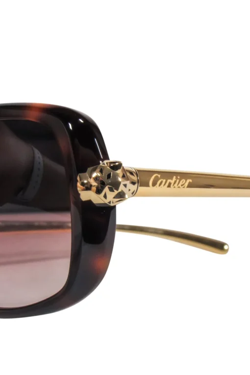 Cartier - Brown Tortoise Sunglasses w/ Gold Legs