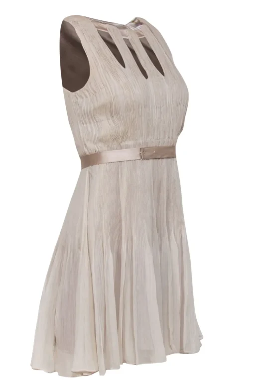 Elie Tahari - Beige Accordion Printed Silk A-Line Dress w/ Cutouts Sz 2