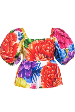 Farm - Rainbow Floral Print Puff Sleeve Peplum Blouse Sz XS