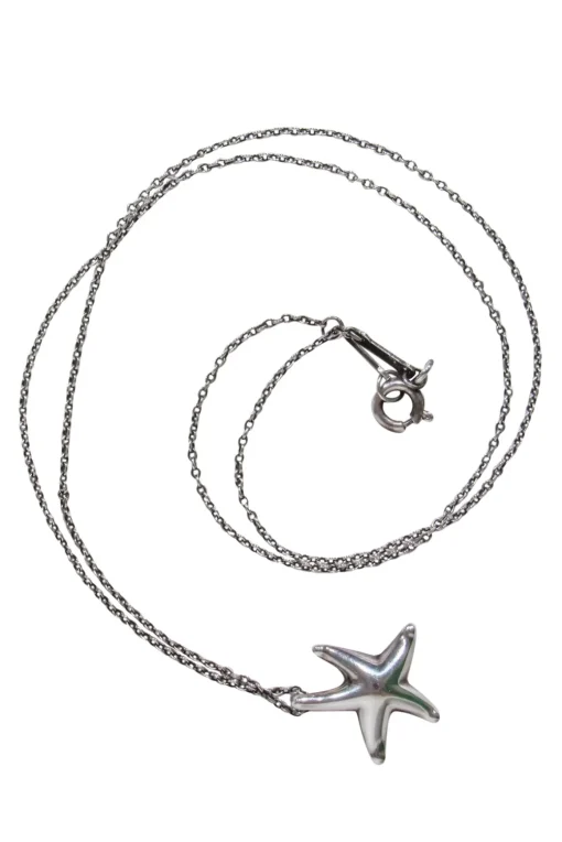 Tiffany & Co. - Sterling Silver Starfish Pendant Necklace