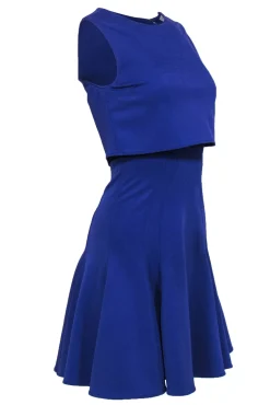ZAC Zac Posen - Purple Sleeveless Fit & Flare Dress w/ Layered Top Sz 4